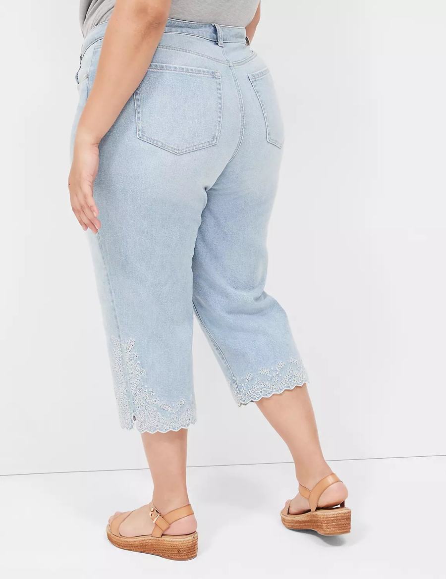 Dámské Džíny Lane Bryant Boyfriend Fit Capri With Embroidery Světle Blankyt | VNS1990NA
